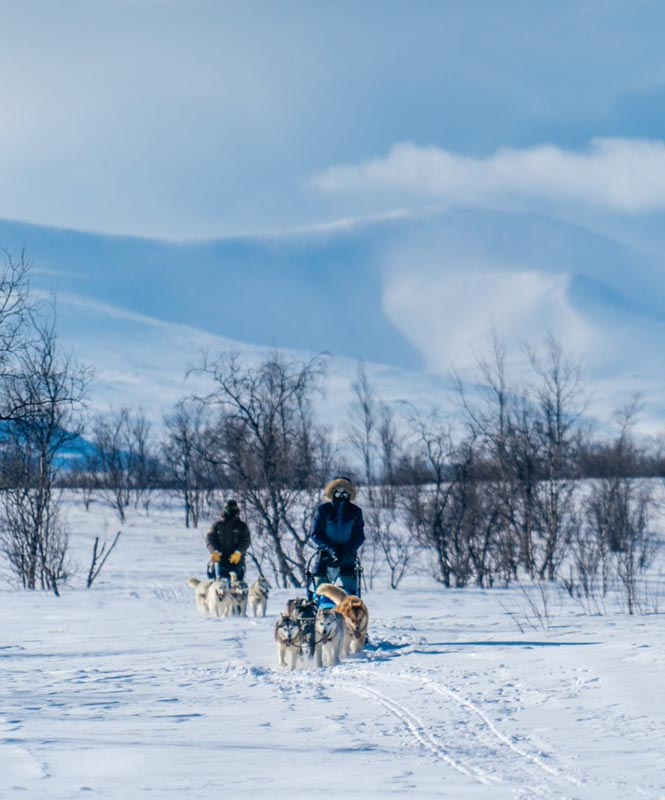 Video thumbnail showing company overview